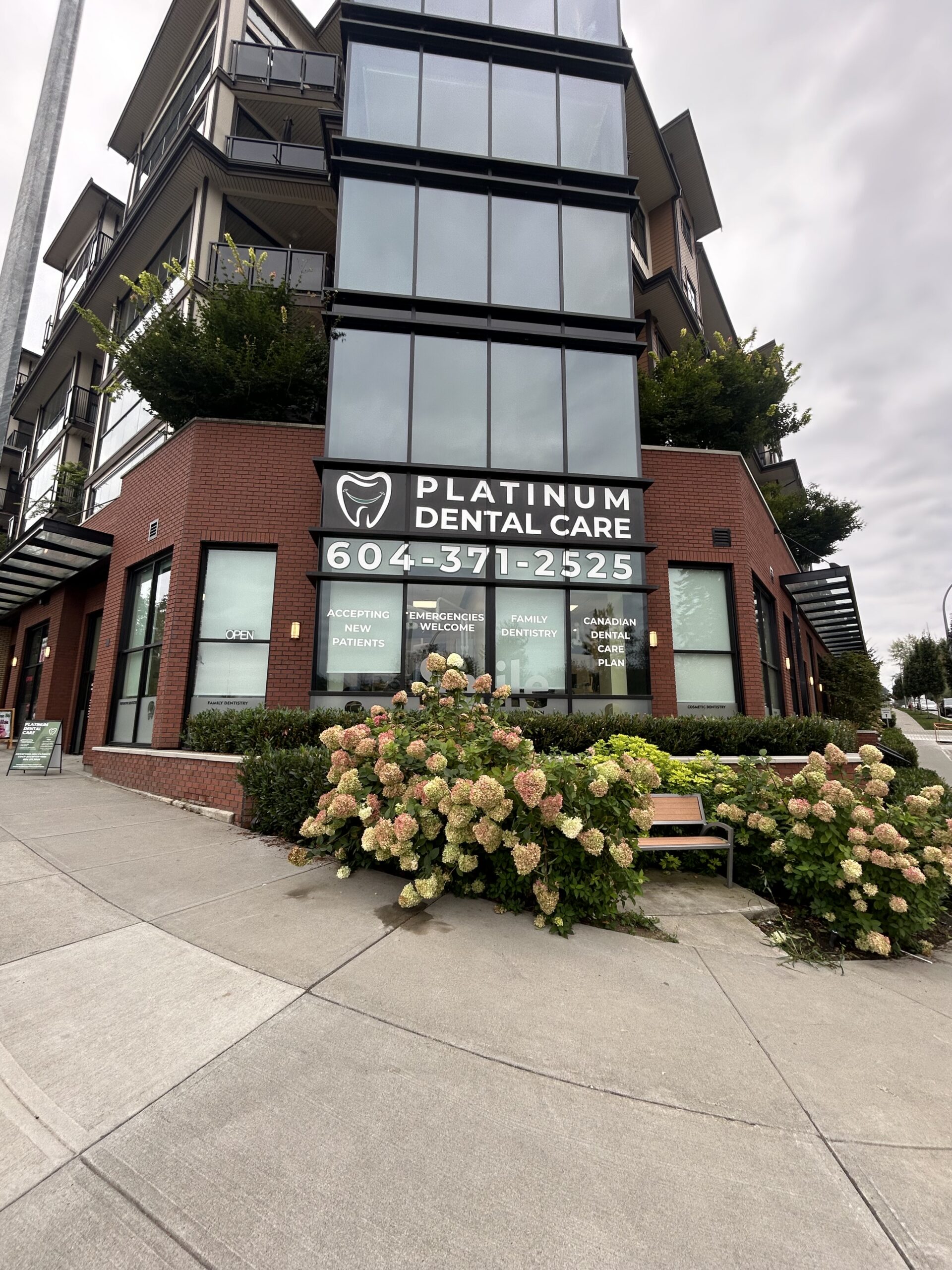 platinum dental care langley